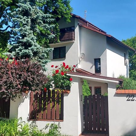 Hidden Gem Garden Daire Krakow Dış mekan fotoğraf