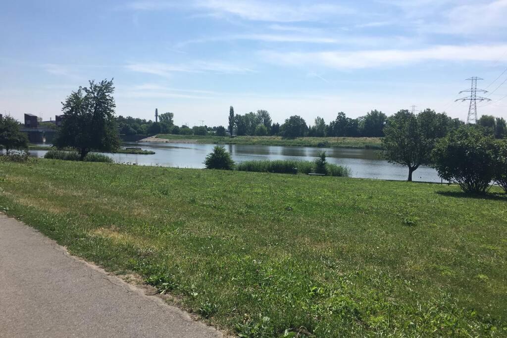Hidden Gem Garden Daire Krakow Dış mekan fotoğraf