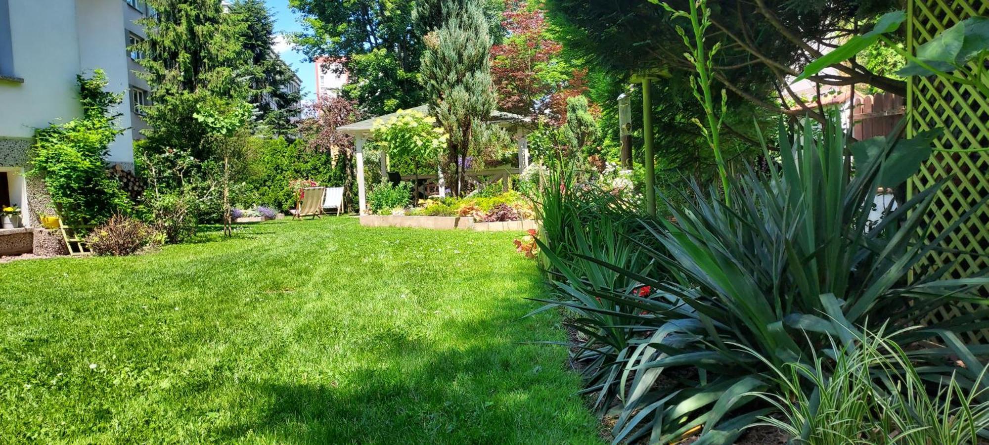 Hidden Gem Garden Daire Krakow Dış mekan fotoğraf